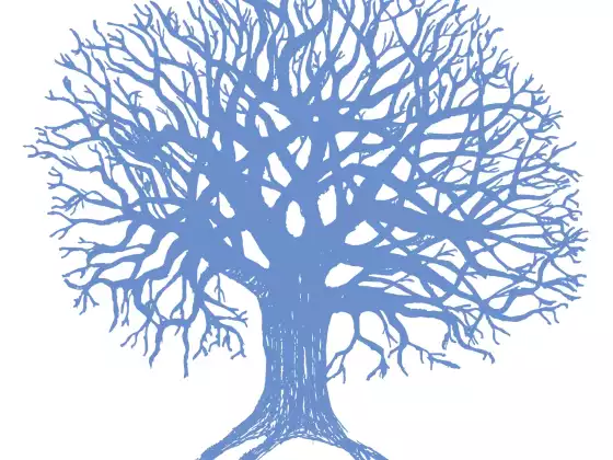 The Center For Love and Light - Class Instructor