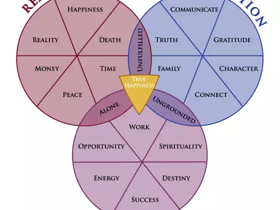 The True Happiness Matrix, Finding Lasting Happiness and Fulfillment