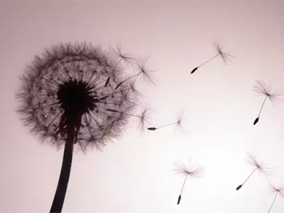 Recovering from Trauma Step 1--Breathe, Listen and Safely Relax