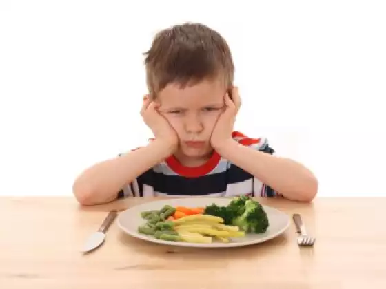 Healthy Children, Healthy Appetites