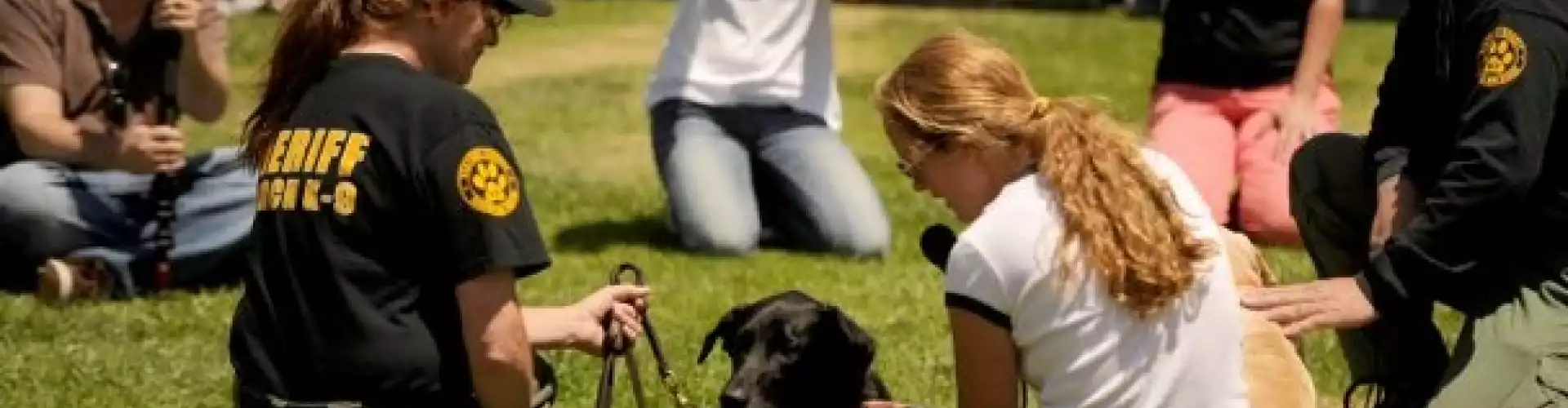 Animal Communication Questions and Answers - Online Class by Laura Stinchfield