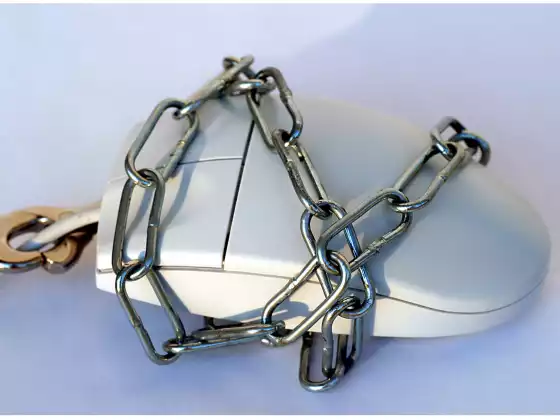 Computer Safety & Security How to be safe when online!
