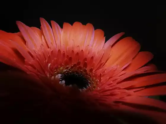 Make Time for Love