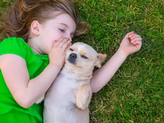 Friendship