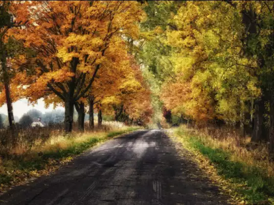 Healing Journeys and Life Lessons