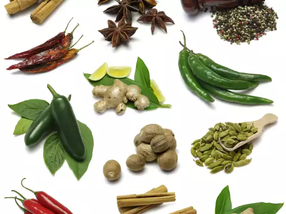 Cooking with Food that Talks to Your Genes