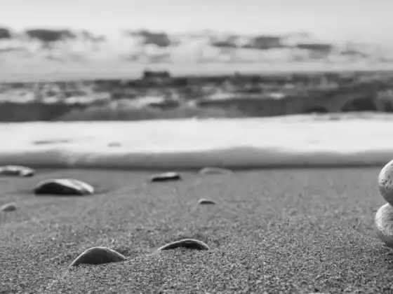 Discover Your Dharma, Finding Your Life Purpose