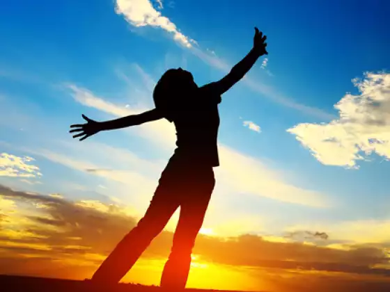The 7 Keys to Wellness
