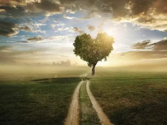 Clearing The Path For Love