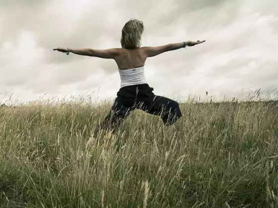 Beginners 10-Week Yoga Programme - FREE Intro Session!