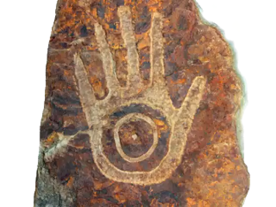 The Shamanic Cosmos