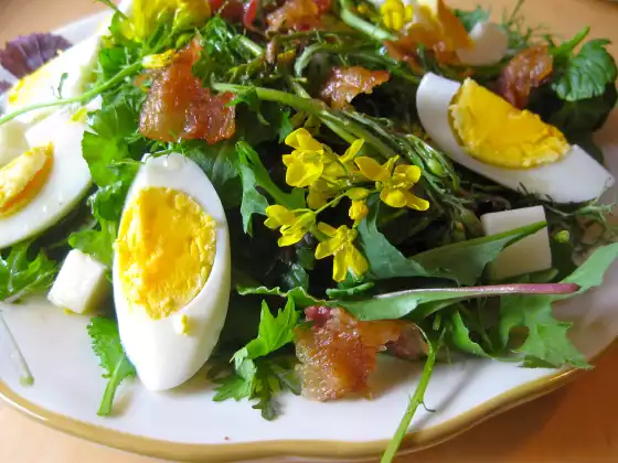 Eliminate Seasonal Allergies with Food and Herbs
