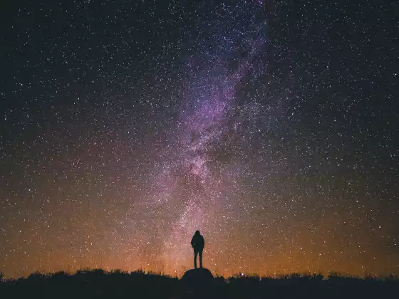 Life Manual Pt 2 - Being Human in a Conscious Universe