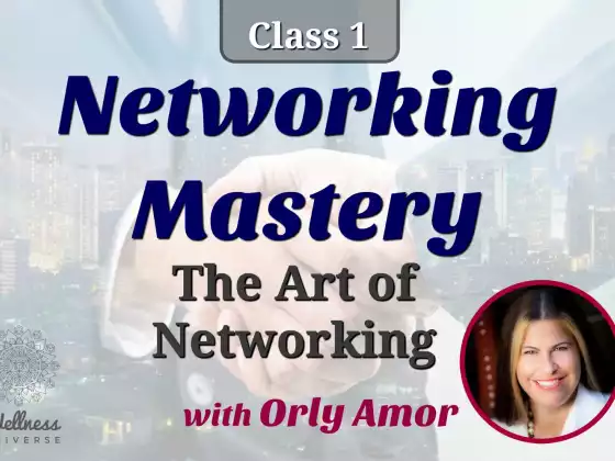 The Art of Networking with Orly Amor