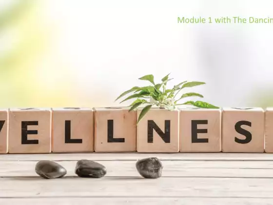Wellness Module 1 (HHSP)