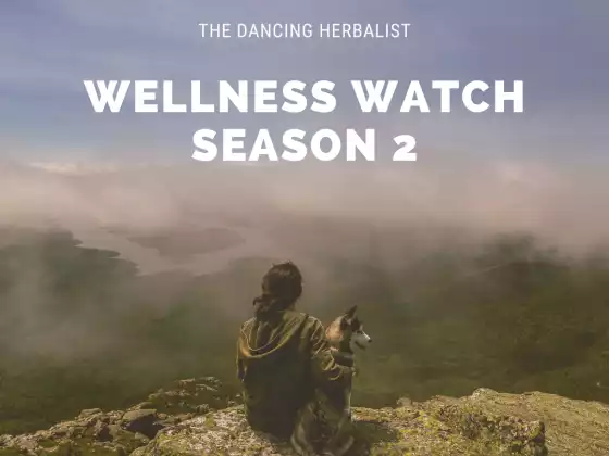 Wellness Watch Season 2
