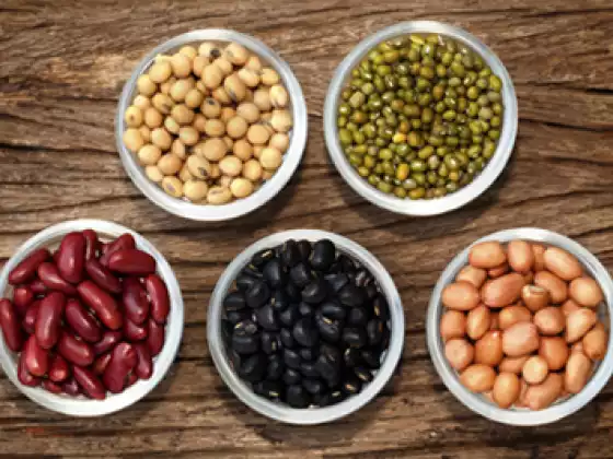 An Introduction To Ayurveda