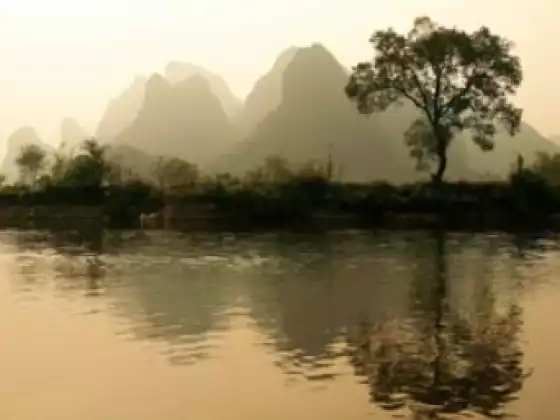 Qigong & Tai Chi For Health & Vitality - Nov Series