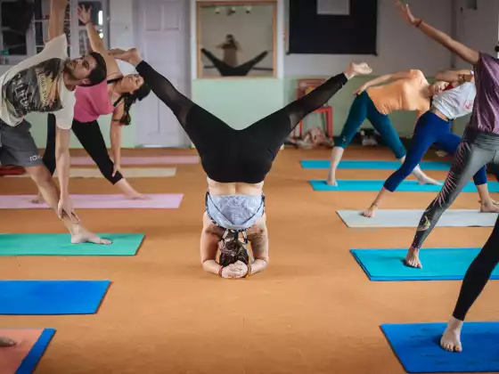 Shiva Shakti Online Classes November 25-28, 2020