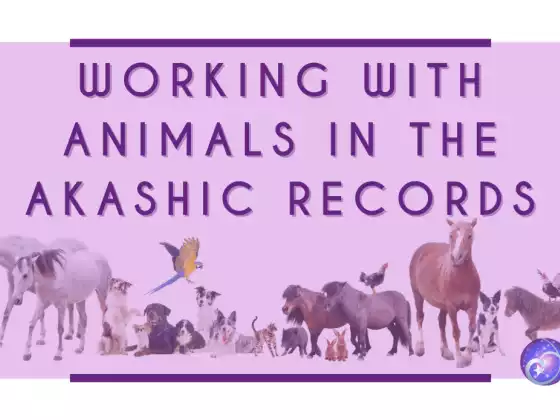 Working with Animals in the Akashic Records
