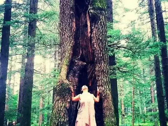 Shiva Shakti Online Classes March 17-20, 2021