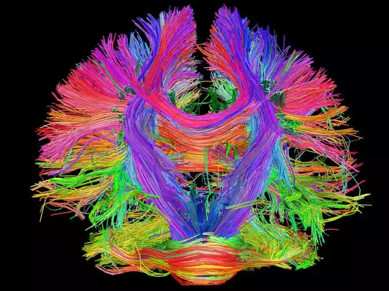 Fostering Your Intuition + Flow: Using the Healing Science of Nature and the Psychology of Interior 