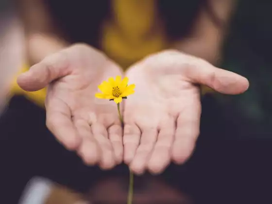 Reiki 1. szint