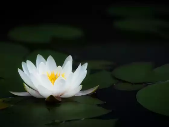 Reiki Level 2