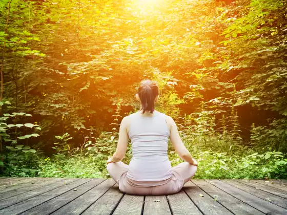 Meditation Basics for Beginners