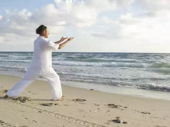 Baduanjin Daily Qigong