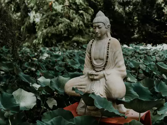Medicine Buddha Chant Circle