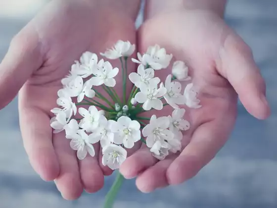 Reiki Level 2