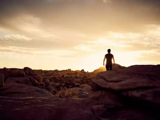 Meditation for Awakening - April 13