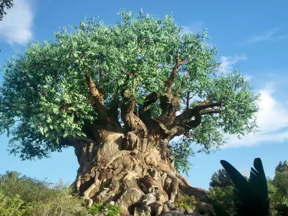 Heure de guérison Reiki de septembre - Arbre de vie et Terre mère