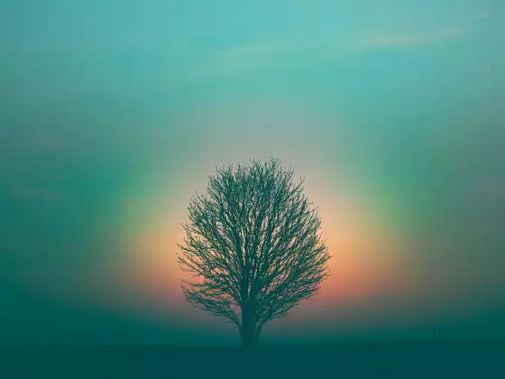 Spiritual Ascension Sundays