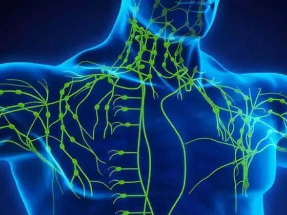 * Lymph Massage DIY