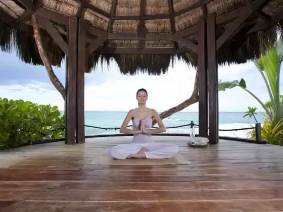 Mai Wellness Bundle - 5 Kurse