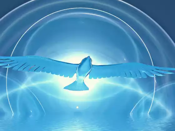 Psychic Signs/Communicating with Your Guides & Loved Ones