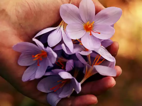Távoli Reiki gyógyítás 33 percig