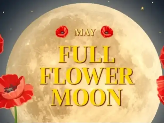 Meditazione sulla Luna Piena