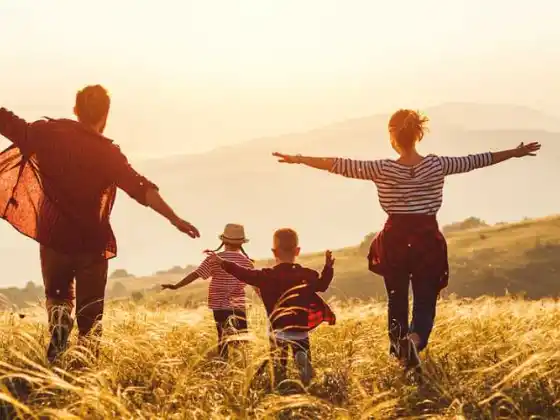Finding Healing In Nature