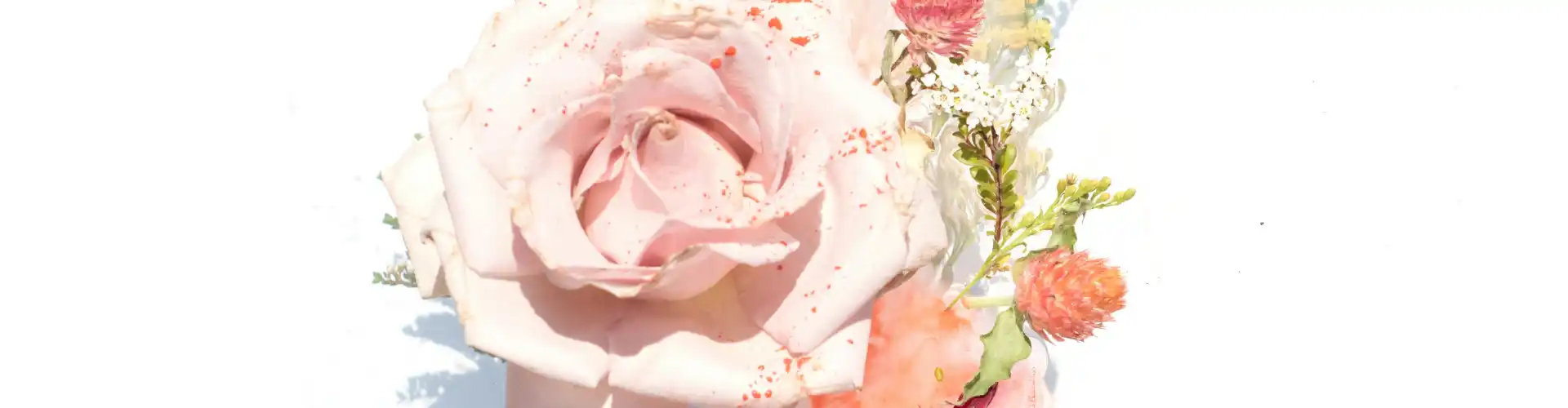 Follow-up del Master Reiki - Online Class by Jamie Butler
