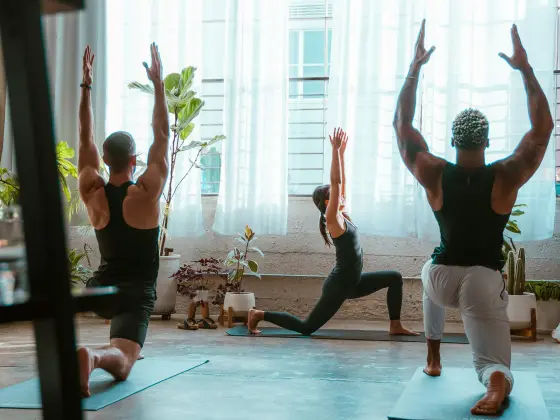 Hanya Yoga Biasa 