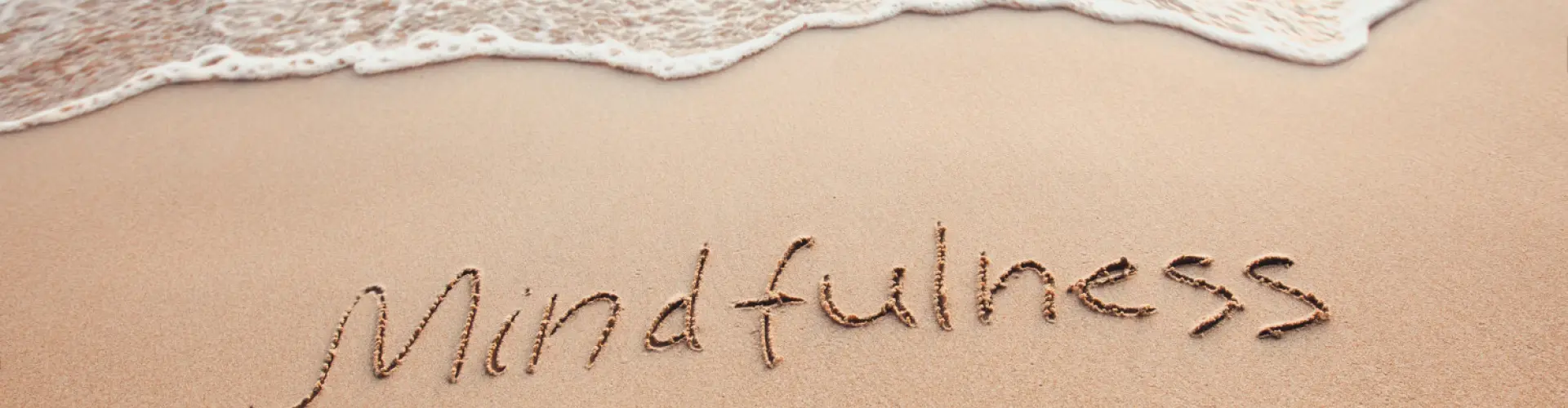 Mindfulness Series Certification