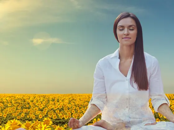 Simpósio do Solstício de Verão